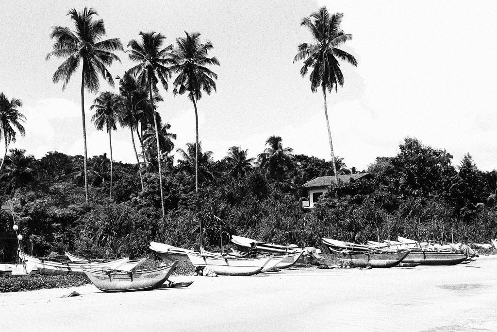 Talalla Bay Beach House Esterno foto